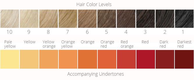 What Color Is My Hair? Color Levels Guide